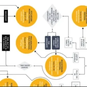 I will design flowchart, process maps, workflows and charts